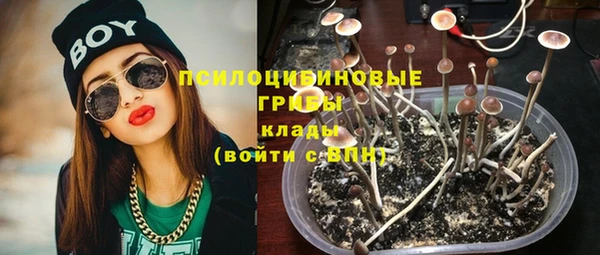 соль курить ск Верхний Тагил