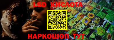 бошки Бийск