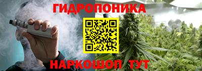 бошки Бийск