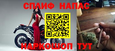 бошки Бийск