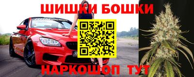 индика Будённовск